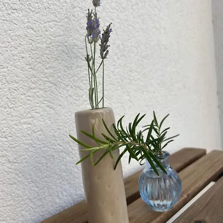 Apartamento Zora *