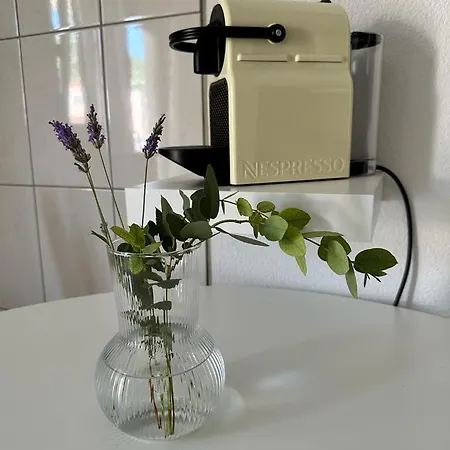 Apartman Zora *